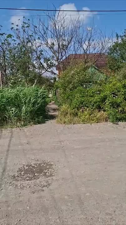   ,     