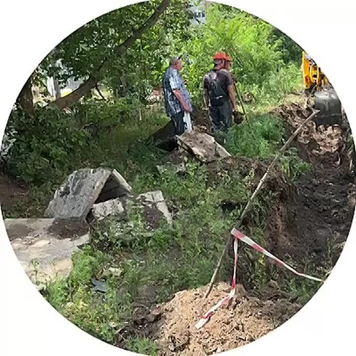                       .       ...
