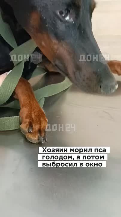    ,    :   