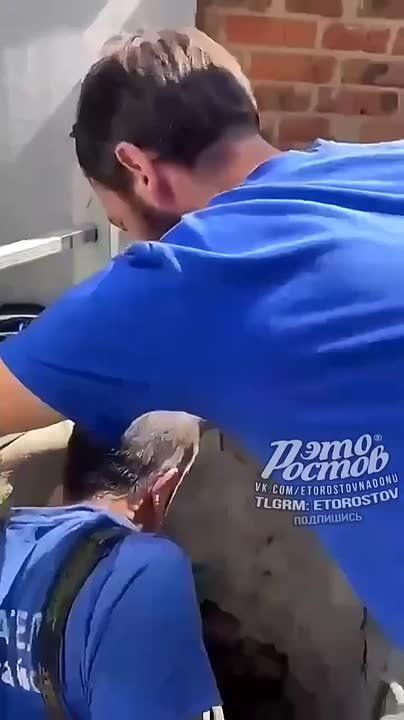   ,   , 