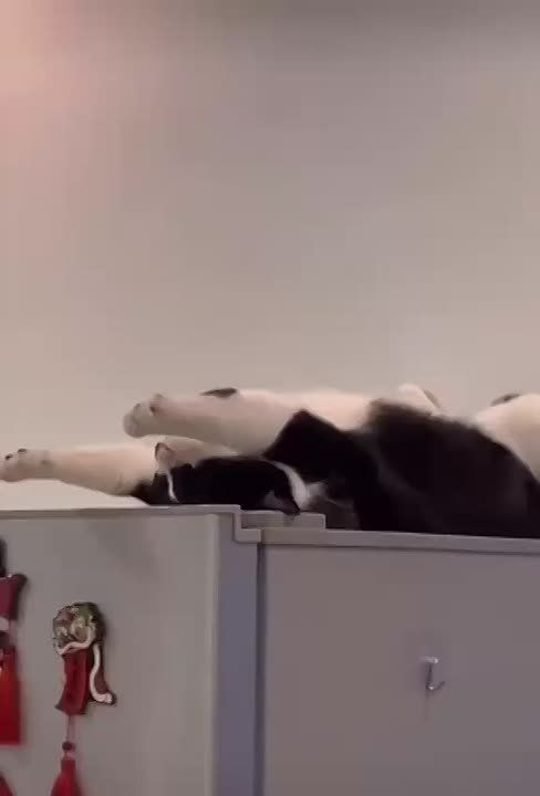     :   ?