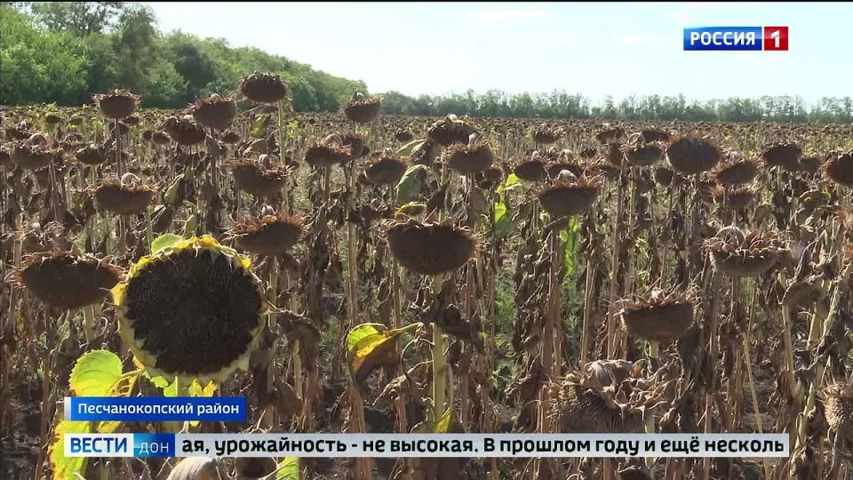 .  19.08.2025 (09:30)