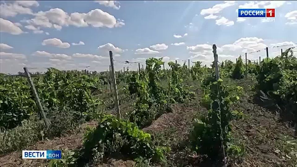     :           