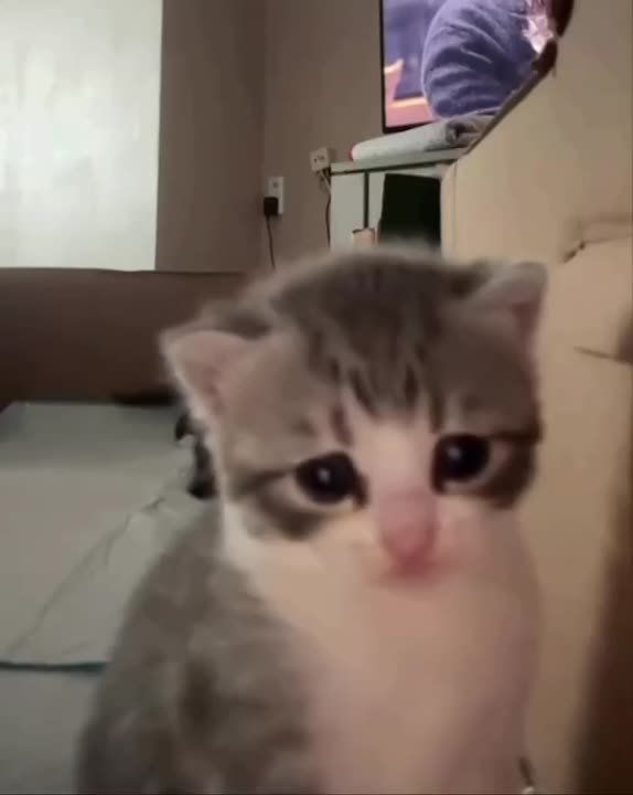     :   ?