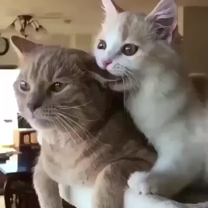     !