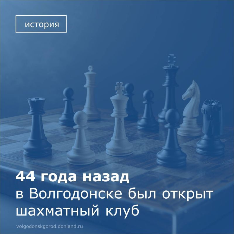 28  1981       