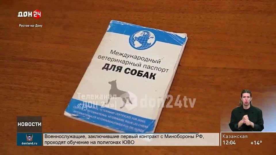 Бесплатная выездная вакцинация собак и кошек стартовала в Ростове