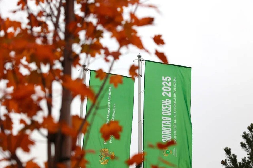 Юрий Слюсарь: Сегодня начали работать на выставке «Золотая осень — 2025»