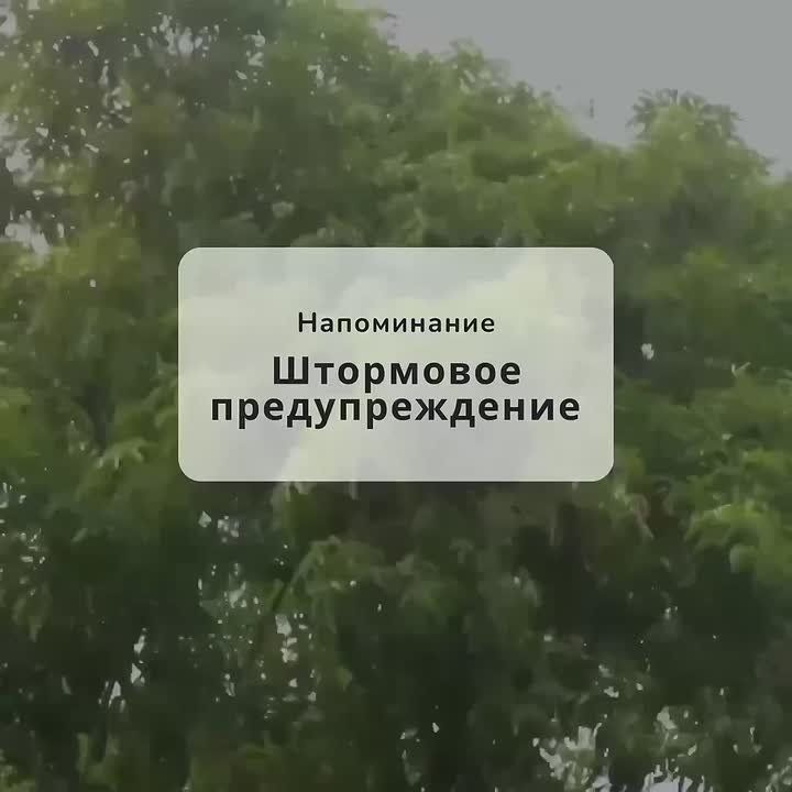 Штормовое предупреждение!. По данным синоптиков, ночью в период с 2 до 4 часов, утром и до конца суток 9 октября, а также 10 октября местами в Ростовской области ожидается комплекс метеорологических явлений: сильные дожди...