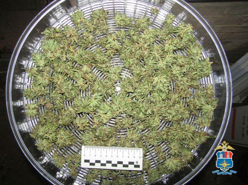 Сотрудники уголовного розыска Ростовского линейного управления МВД России на транспорте задержали 55-летнего жителя Родионово-Несветайского района по подозрению в незаконном обороте наркотиков