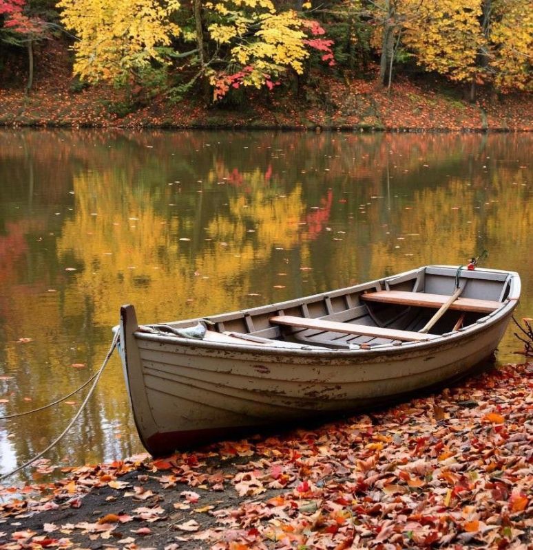 Ещё одна жертва осенней рыбалки