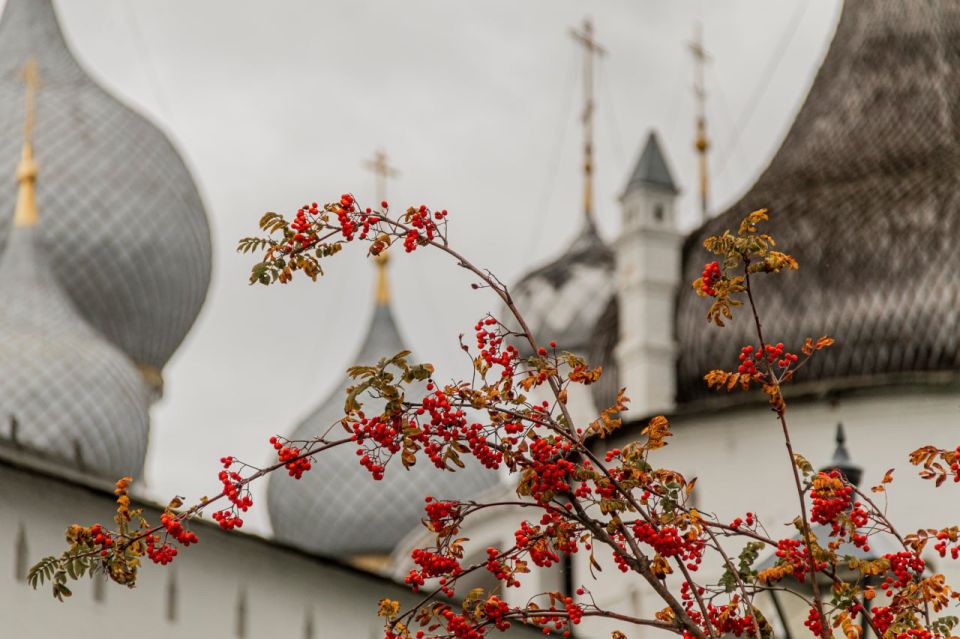 #ФотоДня. Осень в Ростовском Кремле представляет собой палитру красок, где рябина, словно яркий акцент, выделяется на фоне древних стен и золотых опадающих листьев