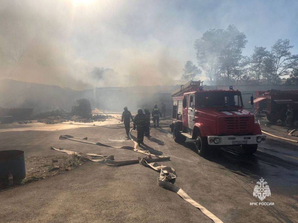  :. -    67 ,  1 ,  4 ;