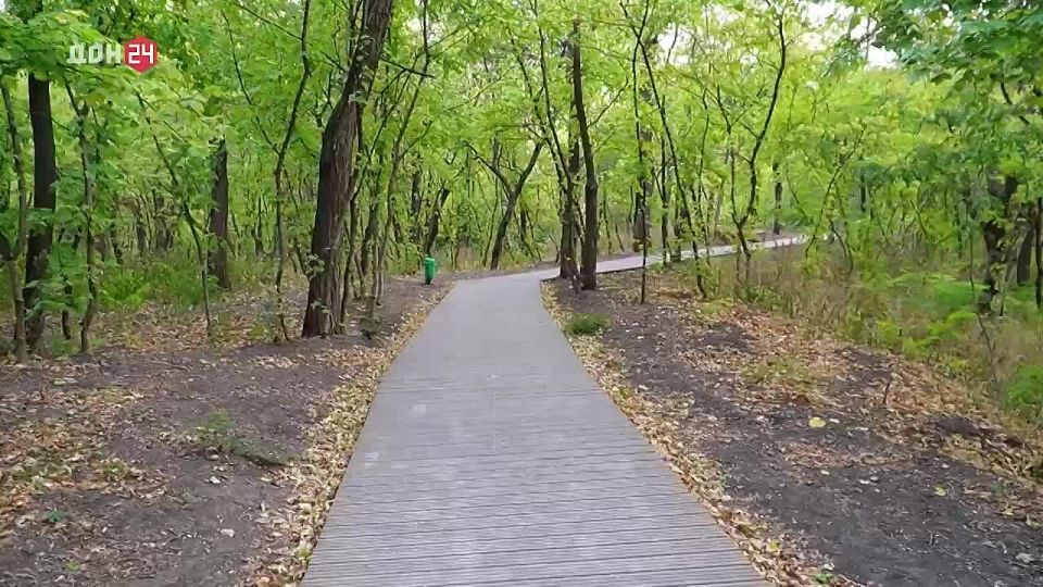 Зеленый оазис появился в Аксае благодаря федеральному проекту