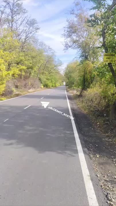 «Взлетная полоса для гонщиков»: подписчица рассказала об опасной дороге возле остановки школьного автобуса