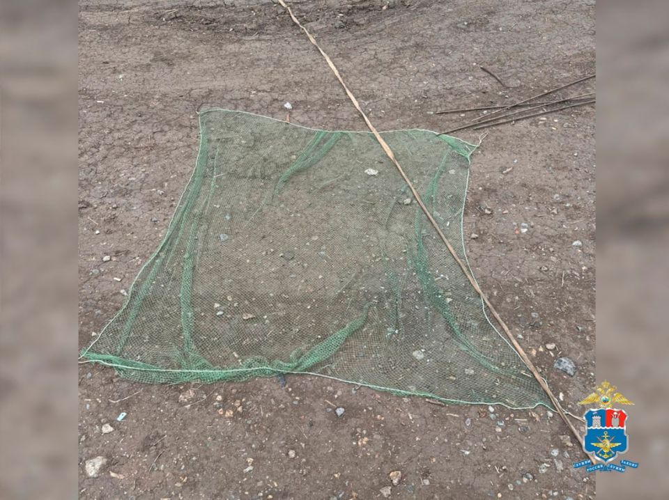 Сотрудниками Сальского линейного отдела МВД России на транспорте совместно с инспекторами Росрыболовства в ходе оперативных мероприятий задержан 56-летний житель города Сальска по подозрению в незаконной добыче водных...