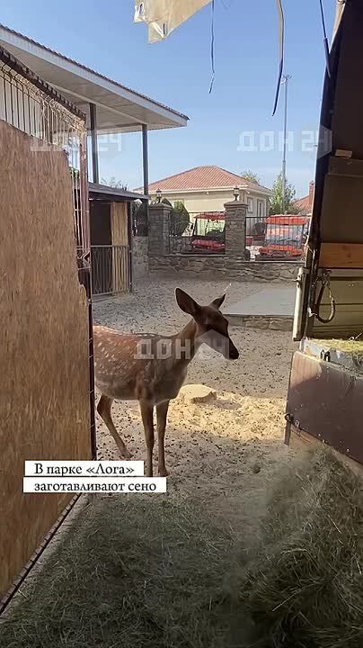 В парке «Лога» заготовили на зиму 2 тыс