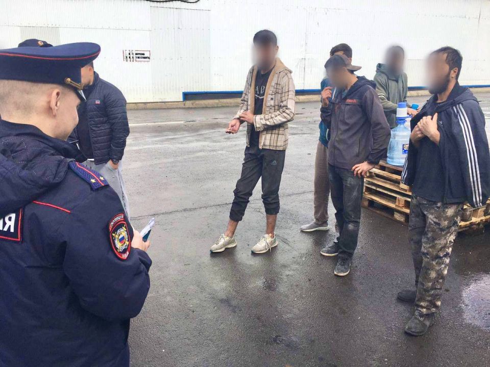 В Ростовской области проведены рейды по соблюдению миграционного законодательства: выявлены нелегальные рабочие и их работодатели