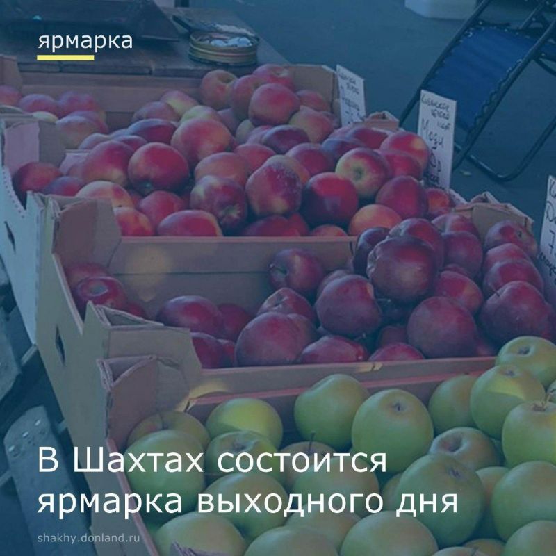  , 25 ,  ,     (     ),        