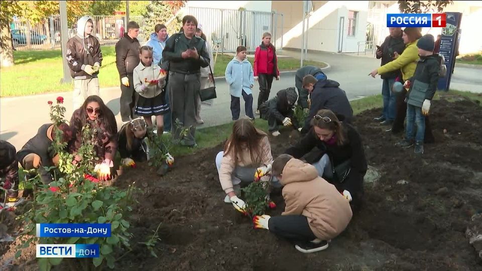 Необычное «спасибо», которое еще долгие годы будет радовать пациентов: в областной детской клинической больнице Ростова появился розарий