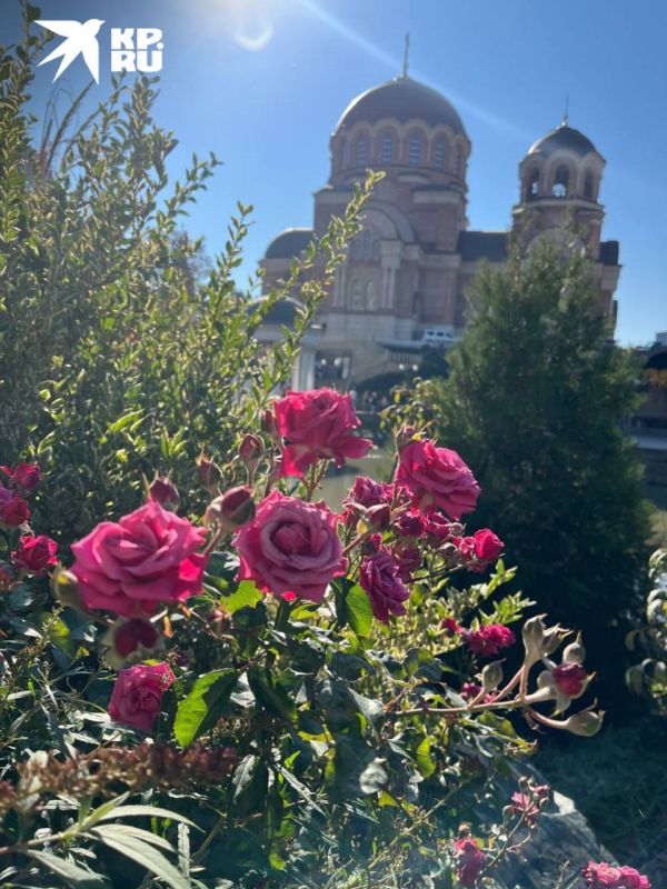 Золотой октябрь во всей красе