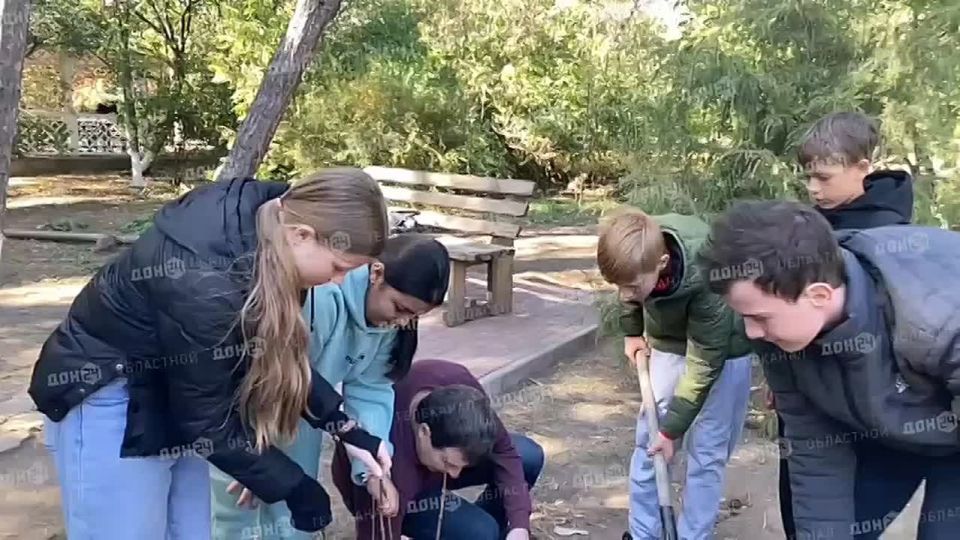 Деревья сажают сегодня и в хуторе Пухляковском