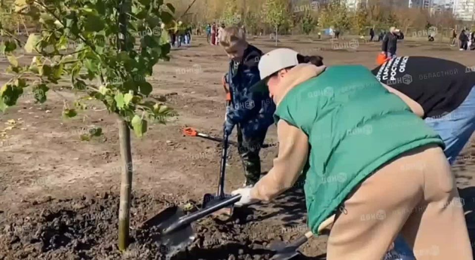 В эти минуты в Ростове высаживают деревья в новом парке