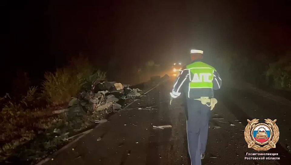 Шолоховские полицейские устанавливают обстоятельства смертельного ДТП