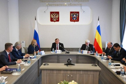 На заседании фракции «ЕДИНАЯ РОССИЯ» в Законодательном Собрании Ростовской области депутаты обсудили вопросы поддержки воспитанников центров помощи детям
