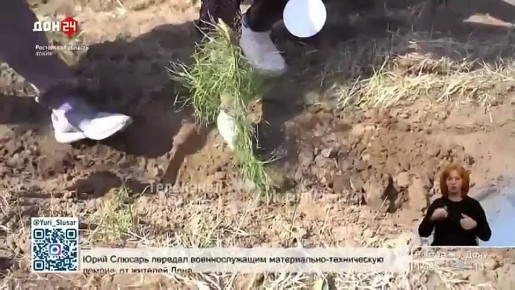 Для восстановления лесополос в регионе не хватает саженцев