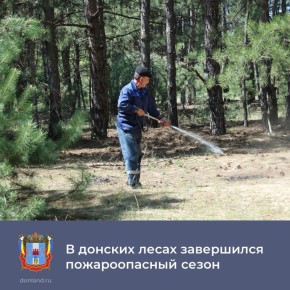 20 октября в лесном фонде Ростовской области завершён пожароопасный сезон