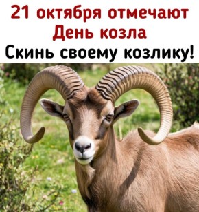 Некоторые козлы такие милые, что в них часто влюбляются…