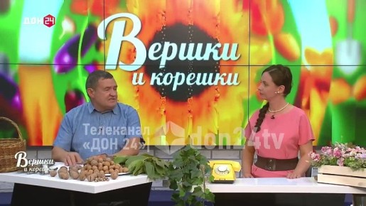 Как сделать болгарский перец по-настоящему ароматным?