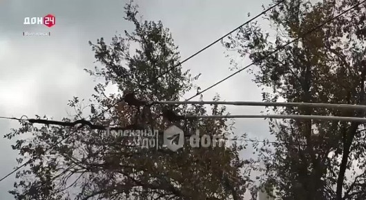 «Умный» троллейбус из Челябинска вышел на маршрут в Волгодонске