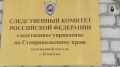 Зооактивистка из Ростовской области травила подростка запрещёнными порновидео