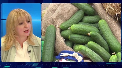 Первый выпуск совместного проекта телеканала ДОН 24 и РБК Юг и Северный Кавказ и «Дон – южная столица России» стартует сегодня