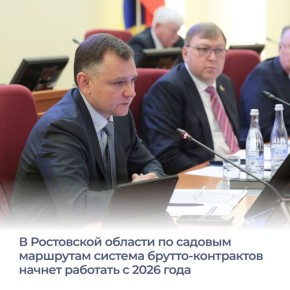 В правительстве Ростовской области планируют изменить организацию перевозок в садоводческие товарищества