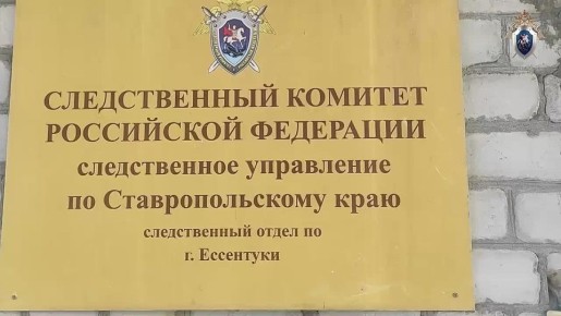 Зооактивистка из Ростовской области травила подростка запрещёнными порновидео