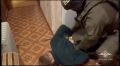 #ВЕЧЕРНИЙ_ЧАТ. В России возбудили первое уголовное дело по статье о передаче телефонных номеров