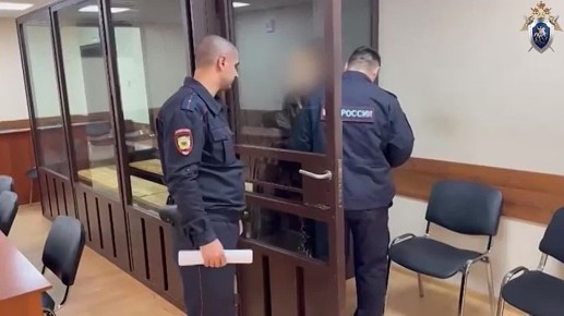 Бывшая учительница русского языка из Новошахтинска отправила порно ребёнку, искусанному собакой, и угрожала сделать с ним то же, что и в ролике
