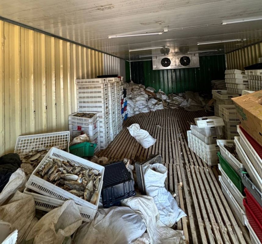 В Ростовской области следователи ГСУ направили в суд уголовное дело о хищении 11 тонн рыбы