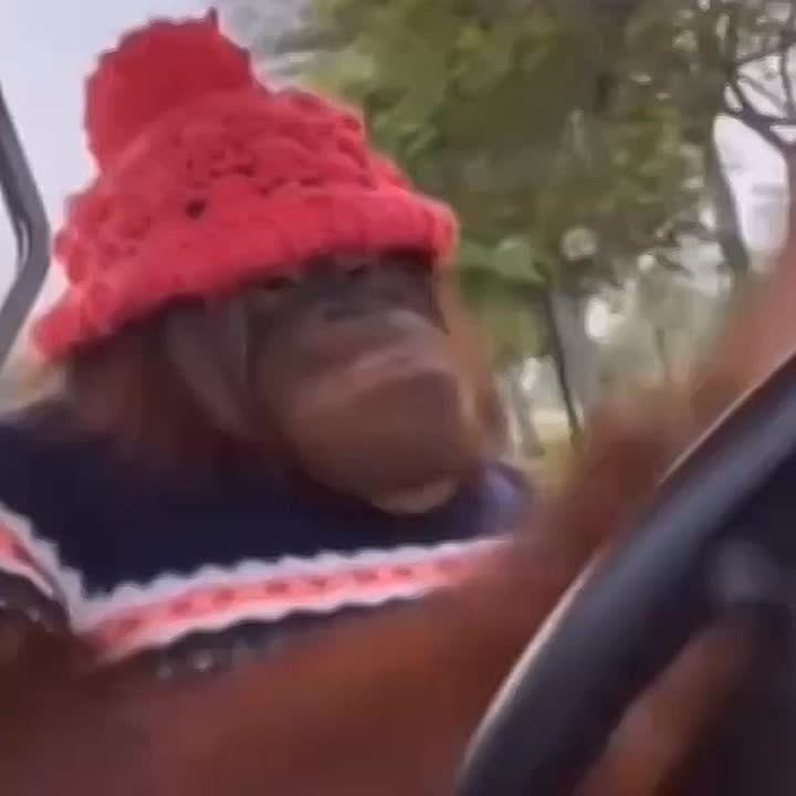 Окончание рабочей недели для жителей Ростовской области будет неприятным, то есть с сильными ливнями, бесячим ветром и градом