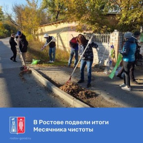 Подведены итоги осеннего Месячника чистоты, который стартовал в Ростове 8 сентября и финишировал 18 октября общеобластным субботником