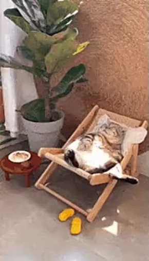     ,    ,    