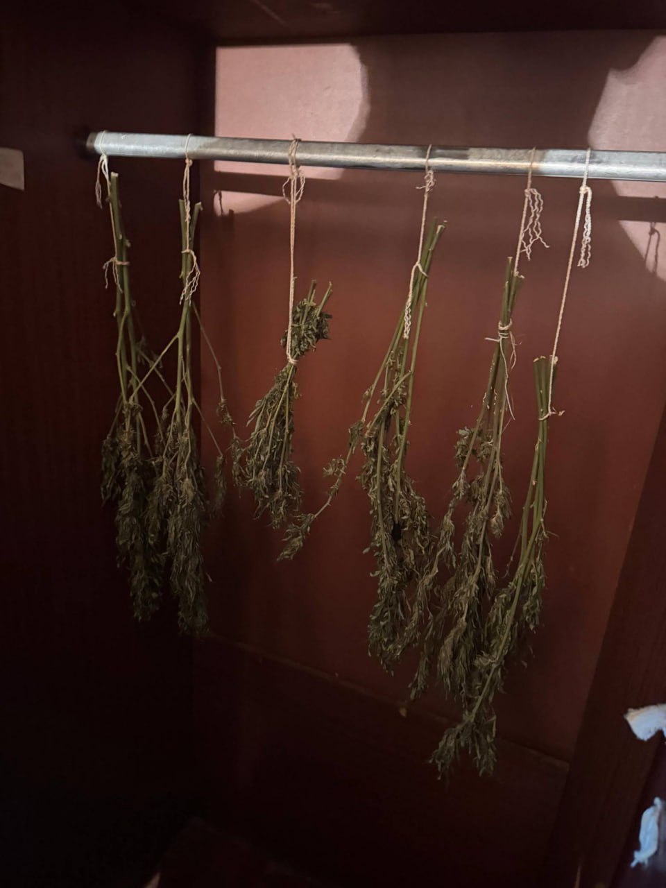 Полиция обнаружила в доме склад марихуаны: В Миллеровском районе гражданин хранил свыше 160 граммов наркотиков