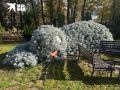 В Аксае есть клумба в форме огромного кота