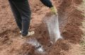 Готовим участок под огурцы: залог успешного урожая