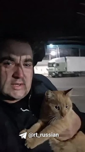 Российский дальнобойщик развёлся с женой из-за потерянного кота, пишут в сети