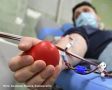 Доноры Ростовской области сдали почти 26 тысяч литров крови с начала 2025 года