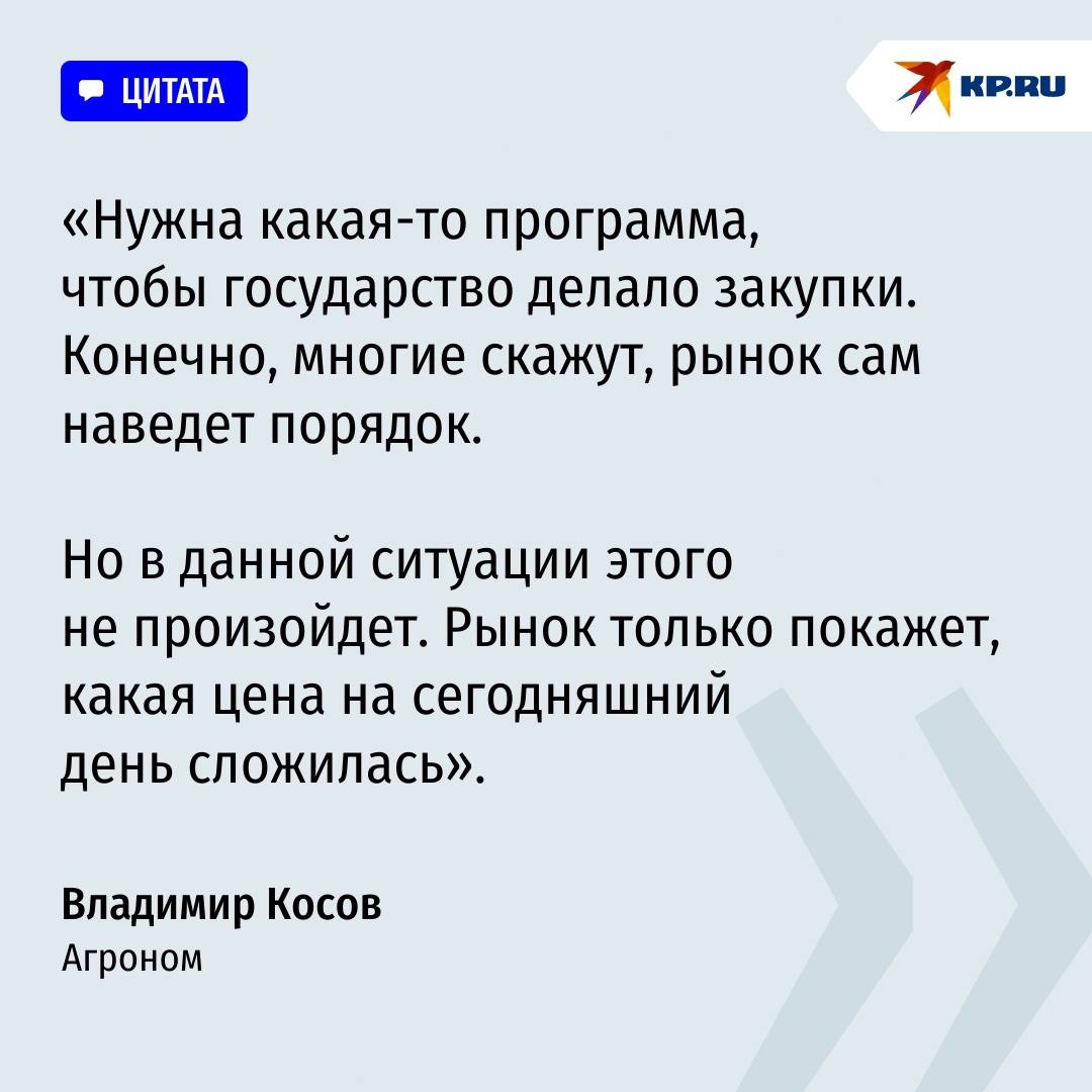 Хлеб дорожает, а зерно дешевеет: Агроном объяснил парадокс цен в Ростовской области Хлеб дорожает, а зерно дешевеет: Агроном объяснил парадокс цен в Ростовской области